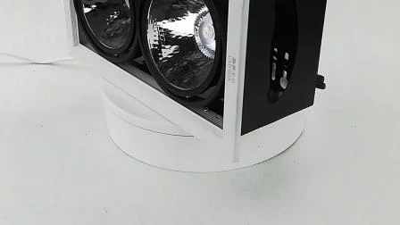 Retrofit creativo ad alta luminosità 2 * 12W disponibile Luce a griglia LED a doppia testa