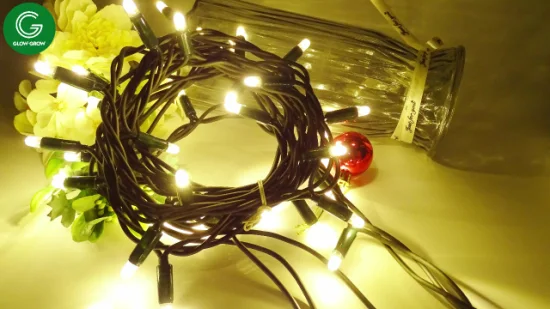 Illuminazione a LED lampeggiante natalizia per esterni in fabbrica per la decorazione di nozze di palme per case festive di edifici commerciali di Natale